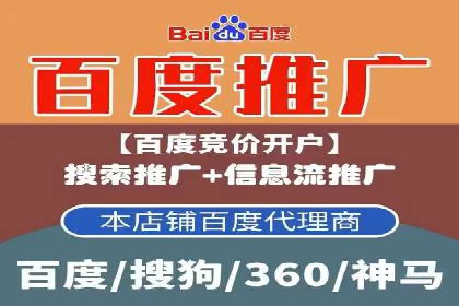 竞价推广策略解析：实战案例分析